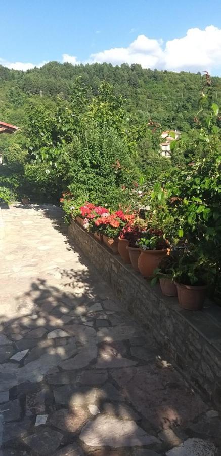 Apartamento Το Σπίτι Της Ευτυχίας Σουίτα Karpenísion Exterior foto