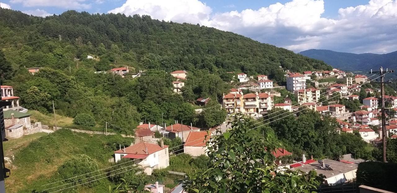 Apartamento Το Σπίτι Της Ευτυχίας Σουίτα Karpenísion Exterior foto